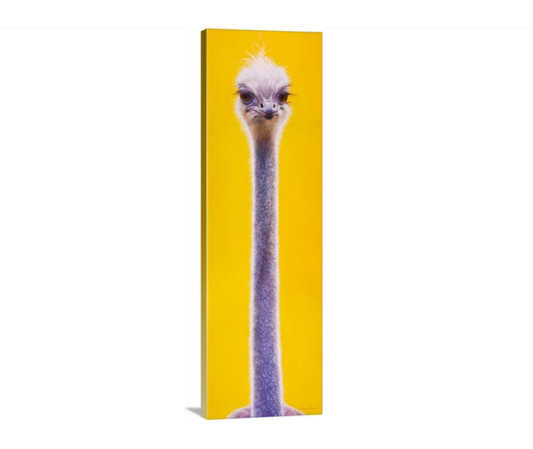 An oil painting of a sassy ostrich portrait with a contemporary yellow background as a limited edition print by wildlife artist James Corwin.