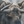 A canvas print of a bull moose in a winter aspen forest setting. Montana Oil painting by wildlife artist James Corwin.
