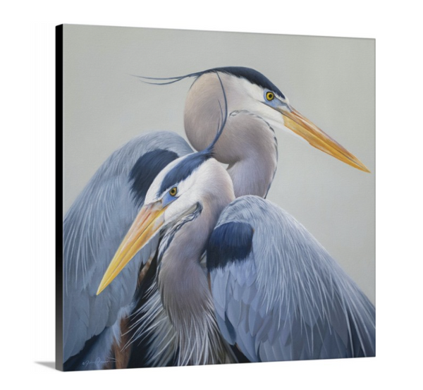 A canvas print of two great blue herons with a gray, blue, and yellow color palette. An oil painting by wildlife artist James Corwin.