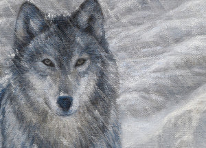 A limited edition giclee canvas print featuring a group of wolves in a snowy mountain landscape. The print is gallery-wrapped by wildlife artist James Corwin.