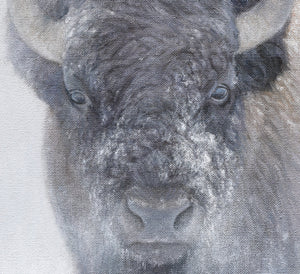 A giclee canvas print of three yellowstone bison in a misty winter setting from an oil painting by James Corwin wildlife artist.
