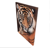 sumatran tiger portrait limited edition art print canvas