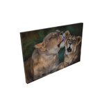 african mother lion grooms her cub art painting limited edition print on canvas