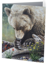 lady bug heaven grizzly bear glacier national park western wildlife painting by james corwin fine art notecard