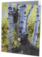 keeping watch baby black bear fall aspen trees glacier national park western wildlife painting by james corwin fine art
