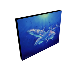 dolphin florida hawaii limited edition giclee print ocean fine art james corwin painting