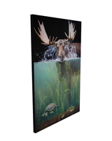 moose in water splashing eating seaweed turtle and perch fish swim away wildlife art by james corwin painting