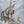 Limited Edition Giclee Canvas Print of a Native American Pinto Mustang in Snow, with accompanying birds and prayer flags. Oil painting by wildlife artist James Corwin in Montana.