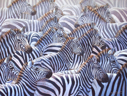 zebra herd wildlife oil painting by james corwin fine art wildlife artist