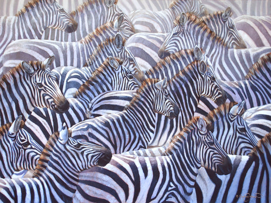 zebra herd wildlife oil painting by james corwin fine art