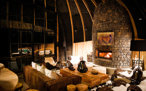 The Last Light - Wholesale