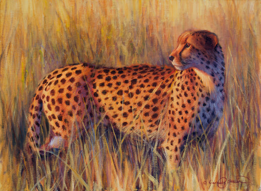 Cheetah oil painting fine art by james corwin wildlife artist