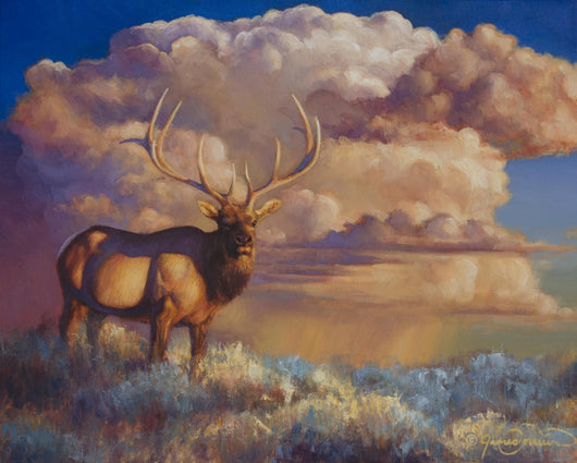 elk oil painting with thunderhead by montana wildife artist james corwin fine art