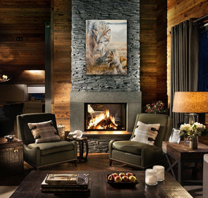 Zoology Lesson - First in Series