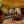 african mother lion grooms her cub art painting limited edition print hanging in dining room
