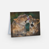 African Wildlife Note Cards