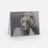 Wildlife Note Cards - Mixed Pack of 3 (Limit 1)