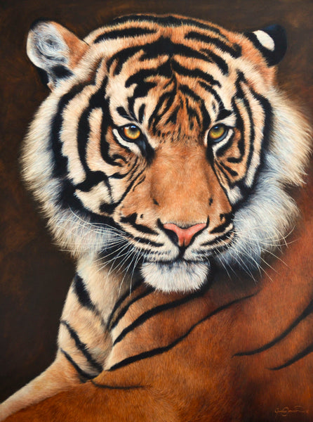 sumatran tiger portrait limited edition art print