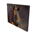 Roger rhino limited edition print on canvas