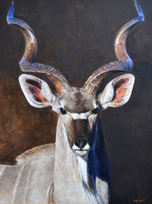 Kudu african antelope portrait limited edition art print