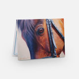 Paquete de tarjetas de notas de caballos