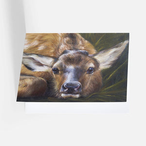 Baby Animal Notecard Pack – James Corwin Fine Art - Wildlife Artist