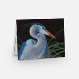 Paquete de tarjetas con pájaros