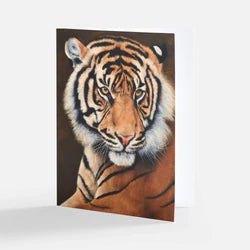 Big Cat Notecard Pack