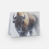 Paquete de tarjetas de notas de bisonte
